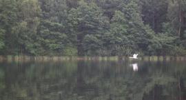 Jezioro Płaczewskie