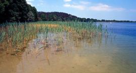 Jezioro Święcajty  ok. Ogonki.