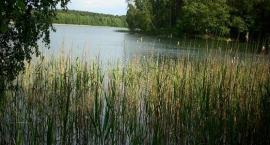 Jezioro Łąkie - Gościm
