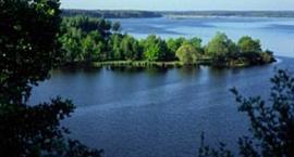 Zalew Sulejowski plażą w Karolinowie