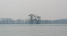 Jezioro Krzyckie Wielkie - Gołanickie