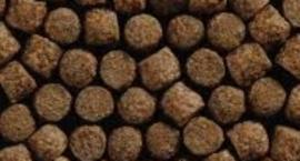 Przepis na pellet karpiowy