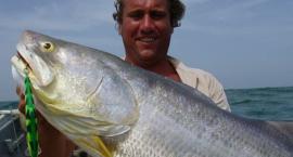 Salmo SKINNER