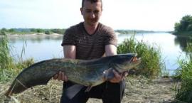 Wędka na suma - Tritium Catfish Live Bait