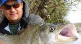 Wędka Daiwa Exceler Sea Trout 3,15m 15-45g