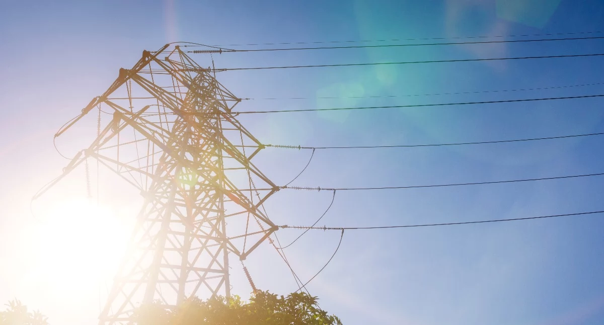 Upały i energetyczny paraliż Europy. Co się dzieje w Polsce?