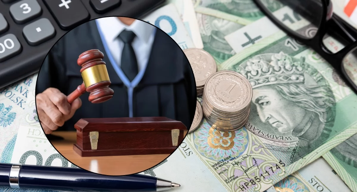227 wygranych spraw z fiskusem, a firma i tak zniknęła z rynku