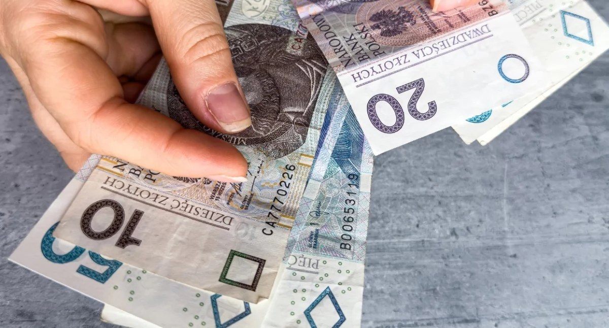 Polacy kupują więcej. GUS sprawdził, na co wydajemy pieniądze 