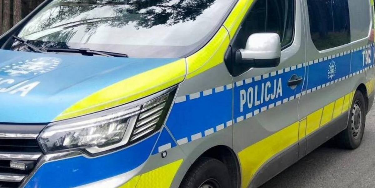 Znalazł wieniec jelenia i wrzucił go do bagażnika. Odpowie za kradzież