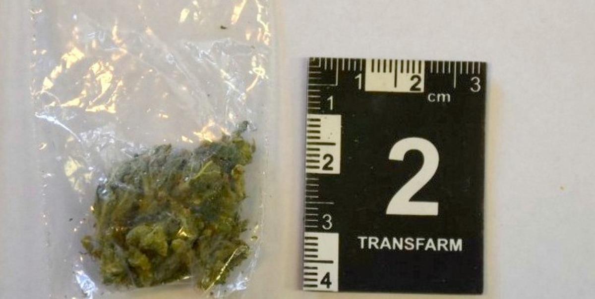 Pasażer miał w kieszeni marihuanę, którą znalazł podczas spaceru