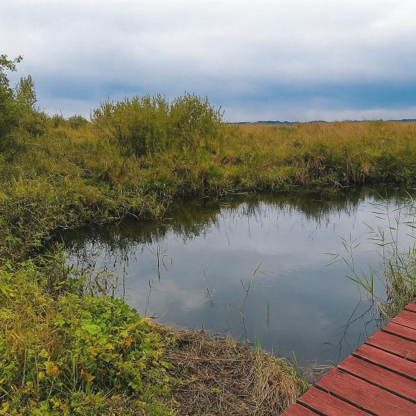 49-latek dostał zgodę na budowę pomostu, bezprawnie pogłębił brzeg Śniardw