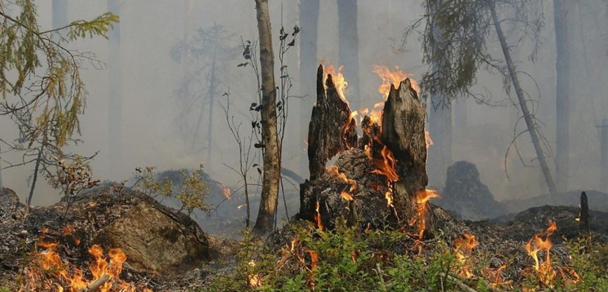 Ekstremalnie wysokie zagrożenie pożarowe 