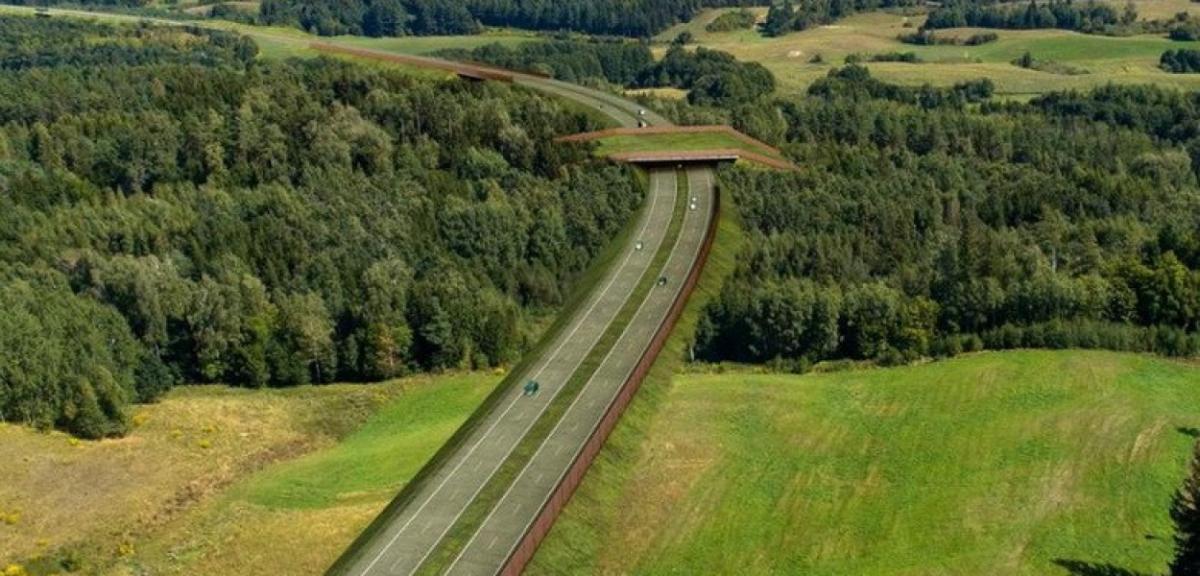 Zmiana wariantu realizacji drogi ekspresowej Mrągowo-Orzysz-Ełk