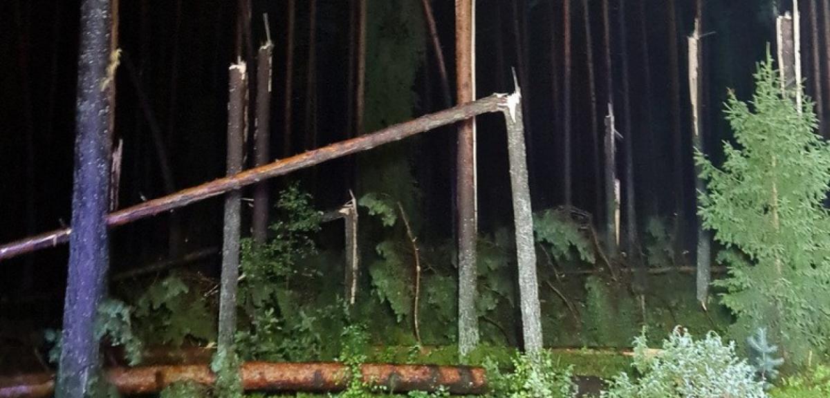 Drzewa łamały się jak zapałki. Skutki nocnej nawałnicy