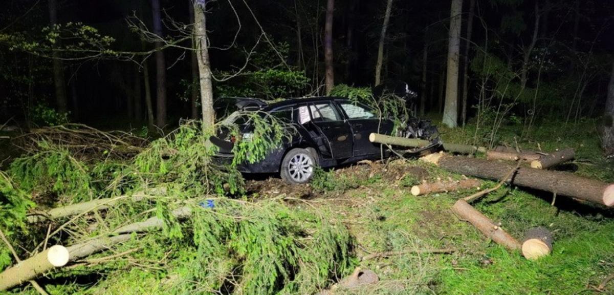  Auto z dużą siłą uderzyło w drzewo. Uczestnik zdarzenia trafił do…