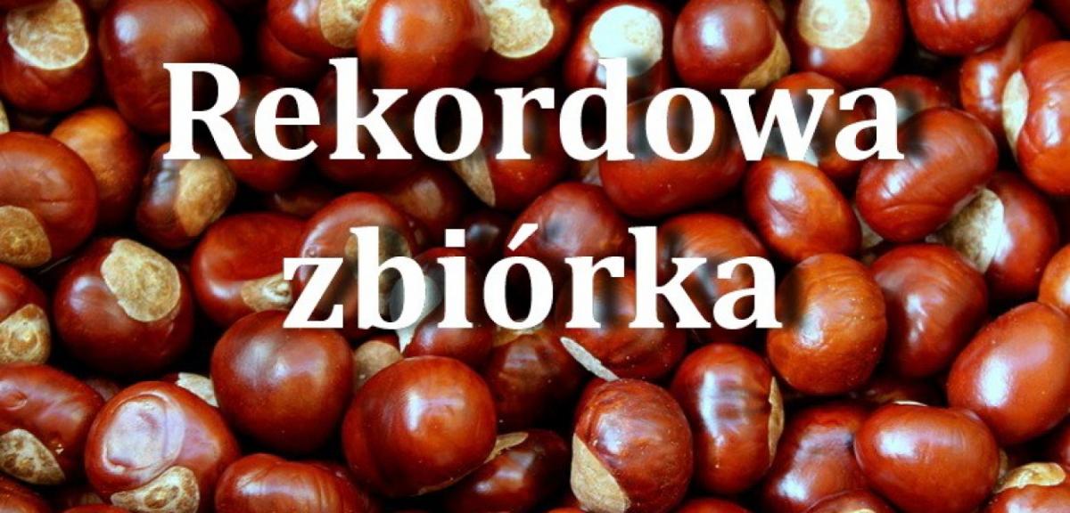 Uwierzycie? Zebraliśmy prawie 38 ton kasztanów!