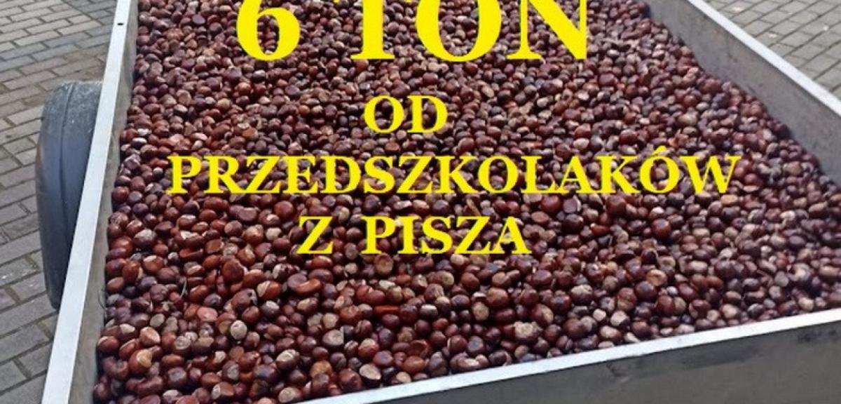 Znamy zwycięzców kasztanowej zbiórki z Pisza