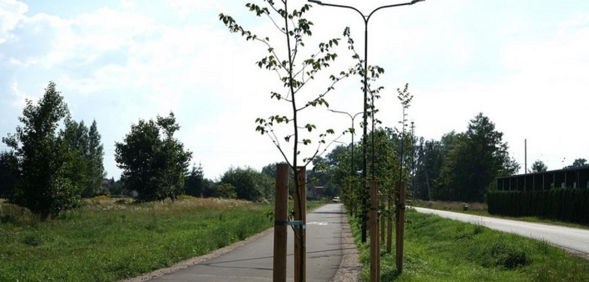 Korzyści nie tylko środowiskowe, ale również społeczne