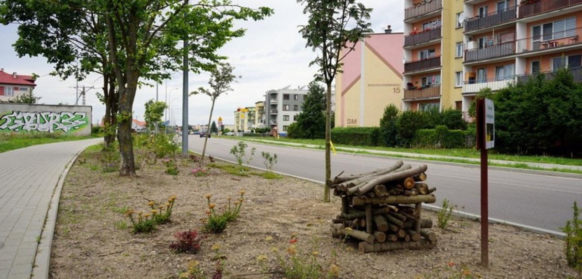 Jest pięknie, kolorowo i w zgodzie z naturą