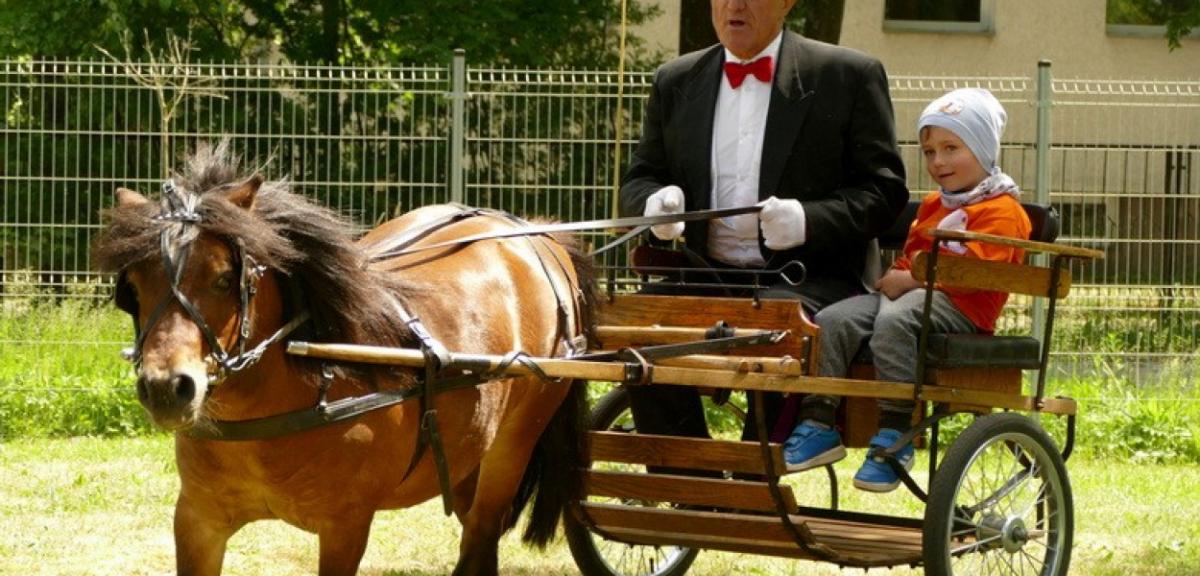 Mnóstwo zabawy i moc atrakcji na Przedszkolnym Pikniku Rodzinnym