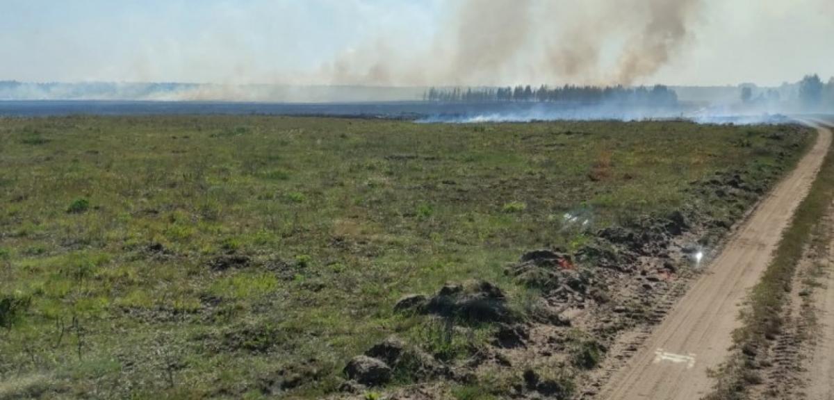 Potężny pożar na terenie poligonu. Płonęło około 100 hektarów traw
