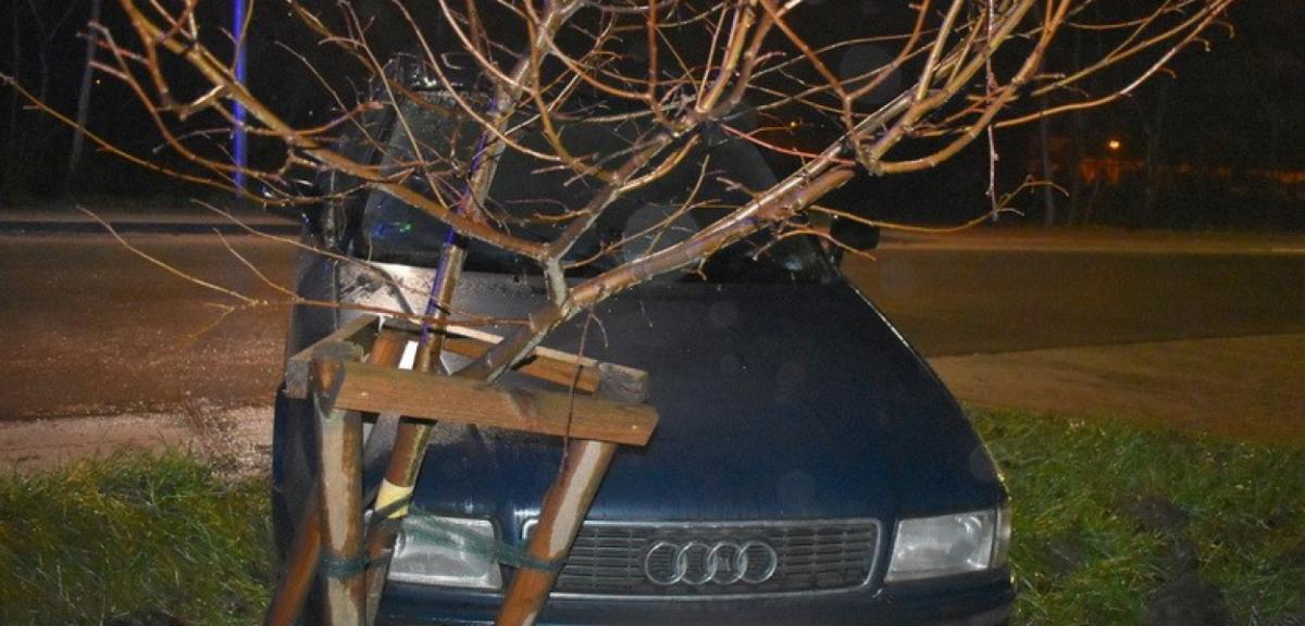 Audi w rowie. Pechowy piątek 13-go