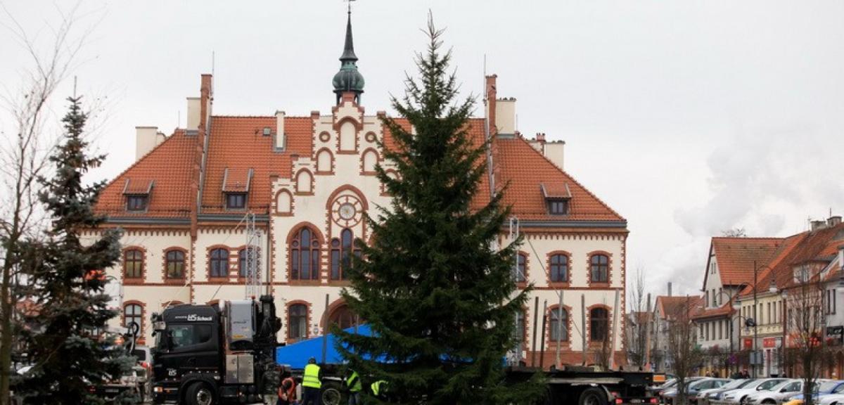 Choinka zdobi już Plac Daszyńskiego. Święta tuż-tuż