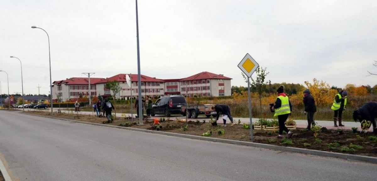 Wołodyjowskiego rozkwitnie wiosną