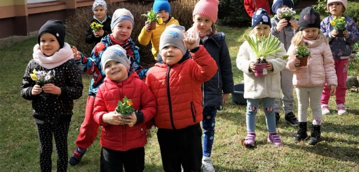 Kwiatki, bratki i ... piskie przeszkolaki w roli ogrodników