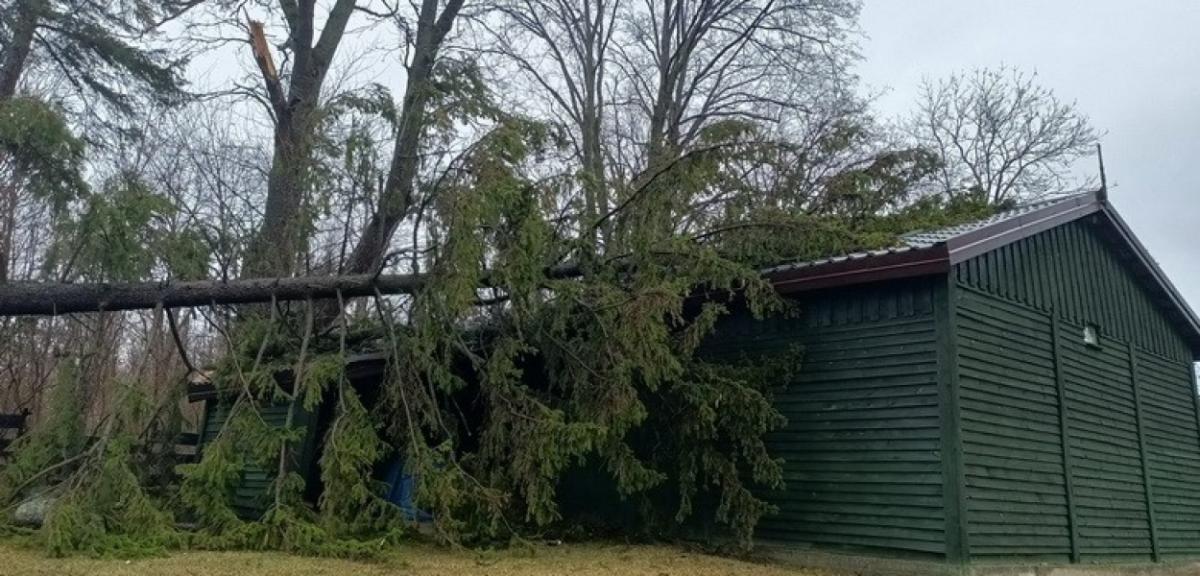80 interwencji z powodu wichury