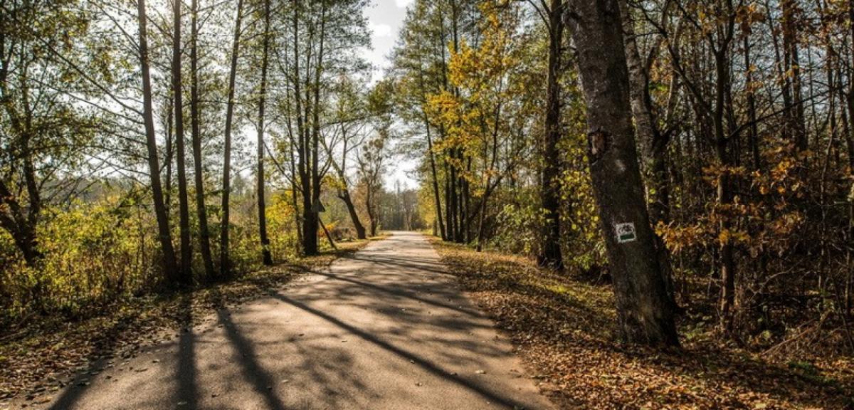 Podziękowania dla Pani Małgorzaty Kopiczko