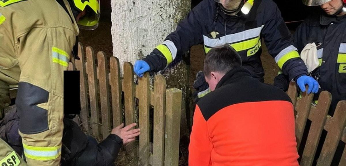 Kopał w płot. Zaklinowaną nogę uwalniała straż