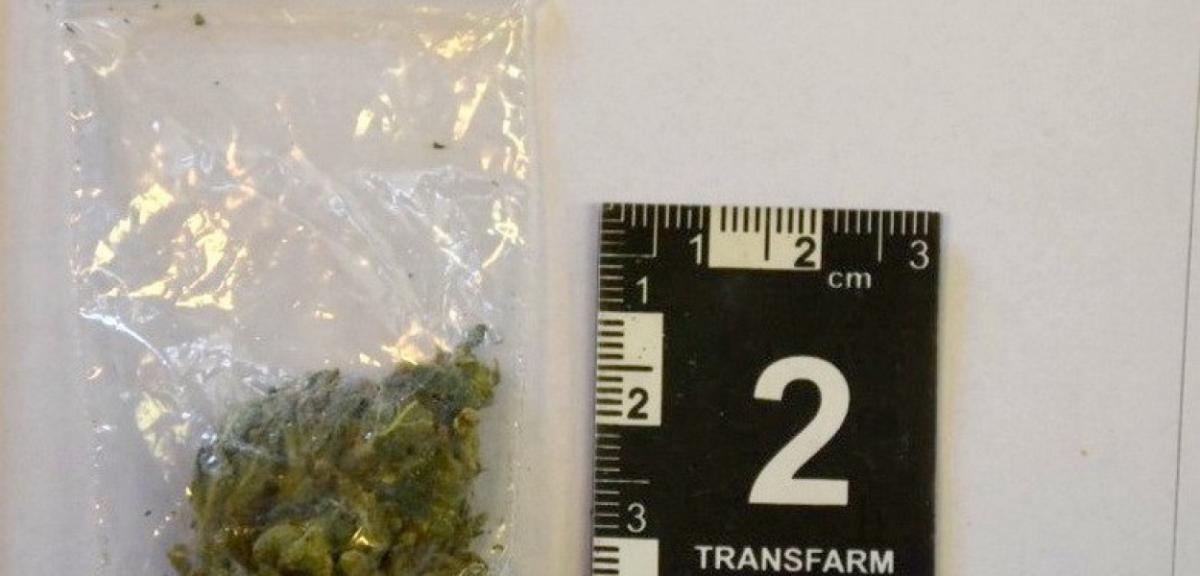 Zarzut posiadania narkotyków i kradzieży postawiono 33-latkowi z…