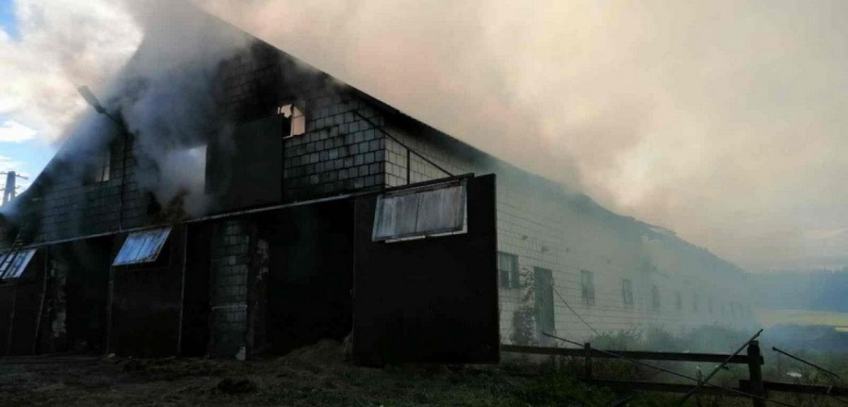 Pożar obory w gminie Biała Piska. Inwentarz liczył 70 krów