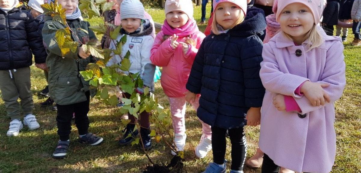 Sadzenie drzew to nasza przedszkolna tradycja