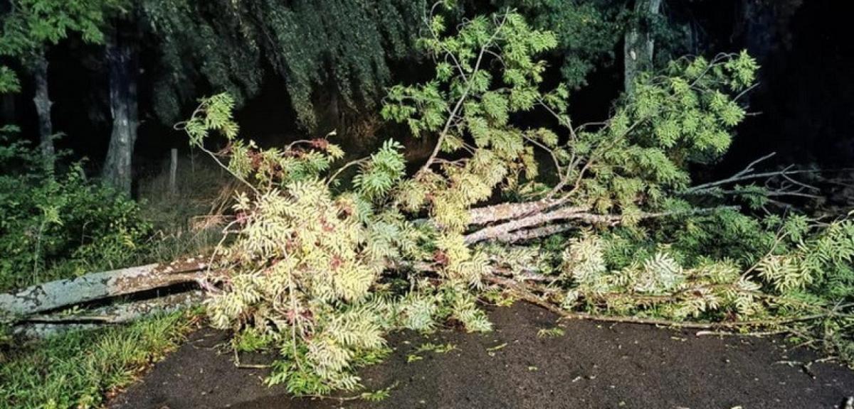 Powiat piski: Porywy wiatru dochodziły do 100 km/h
