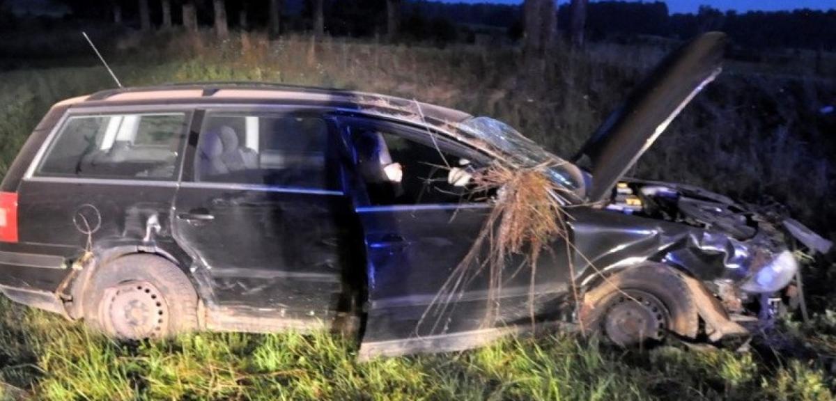 Pożyczonym autem wjechali w drzewo. Pasażer i kierowca kompletnie pijani