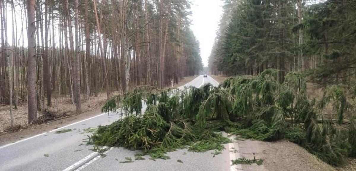 Powiało w lany poniedziałek