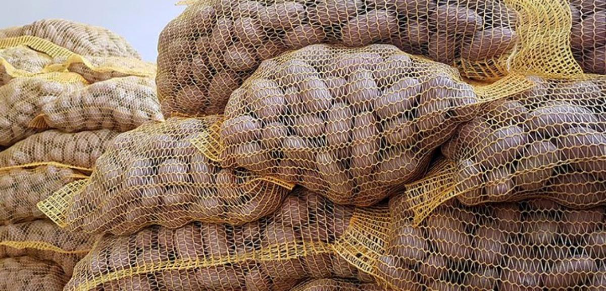 Akcja Ziemniak zakończona. Pozyskano ponad 50 ton ziemniaków