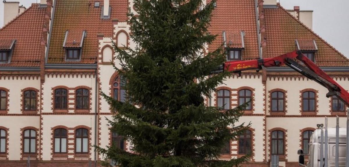 Bożonarodzeniowe drzewko już zdobi Plac Daszyńskiego