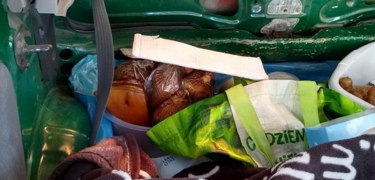 Wędliny prosto z bagażnika. Handlowcom postawiono zarzuty
