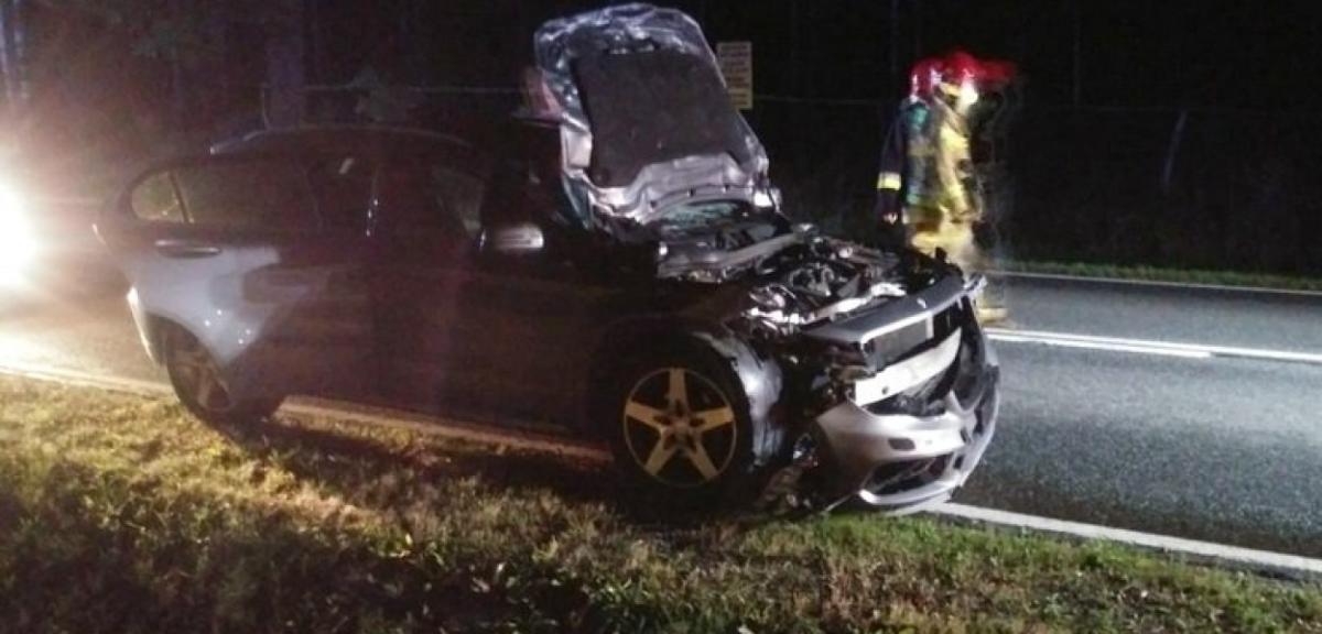 Zderzenie osobówki z łosiem na trasie Pisz-Orzysz