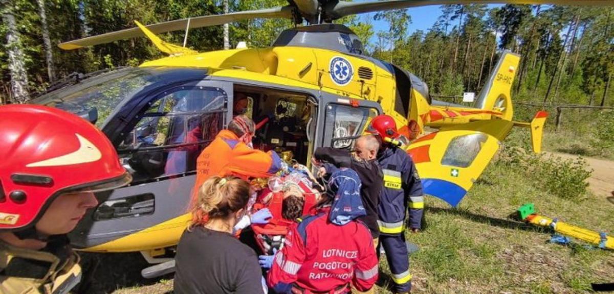 Groźny wypadek podczas ścinki drzew. Ranna przetransportowana do szpitala