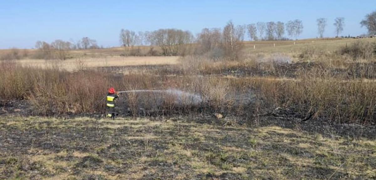 Wypalanie traw - interwencje strażaków