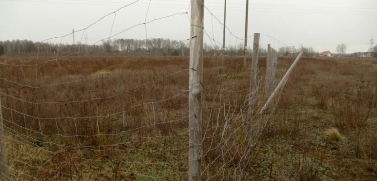Kurczaki, foteliki, sanatorium? Wyborcze zapowiedzi kontra rzeczywistość