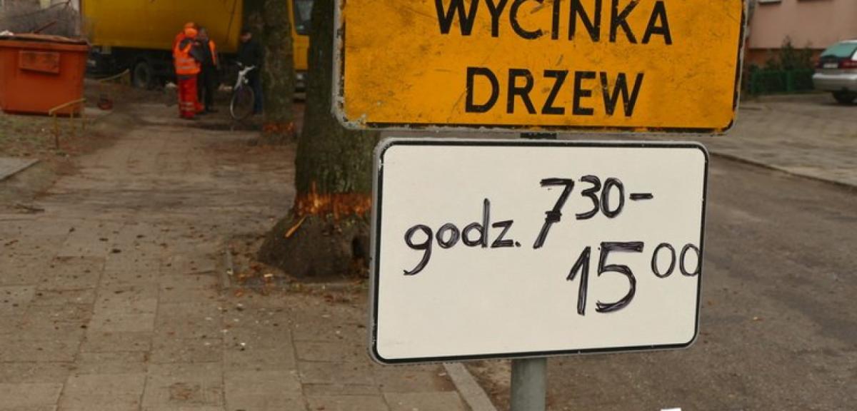 Lipowa żegna się z lipami