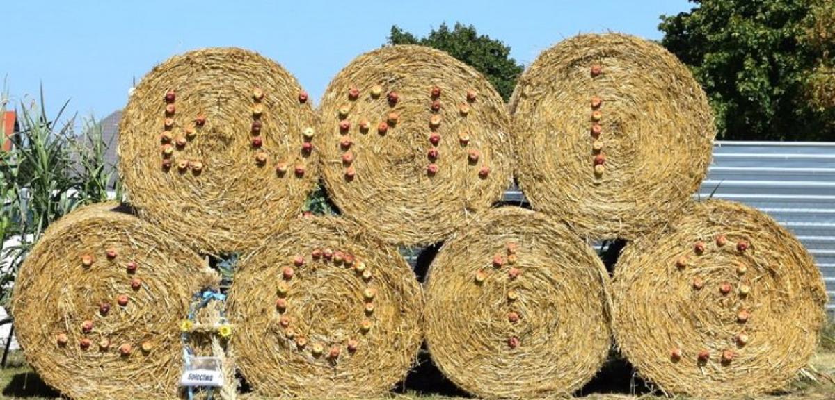 W podziękowaniu za plony. Gminne Dożynki w Łupkach