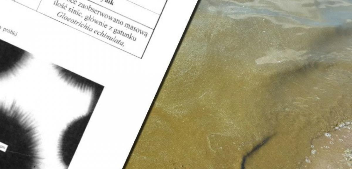  Po interwencji Piszanina Inspekcja Ochrony Środowiska zbadała wodę w…