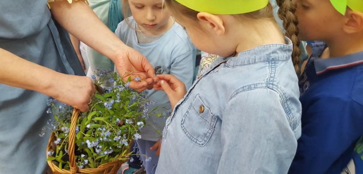 Święto Niezapominajki okazją do wyrażania serdeczności