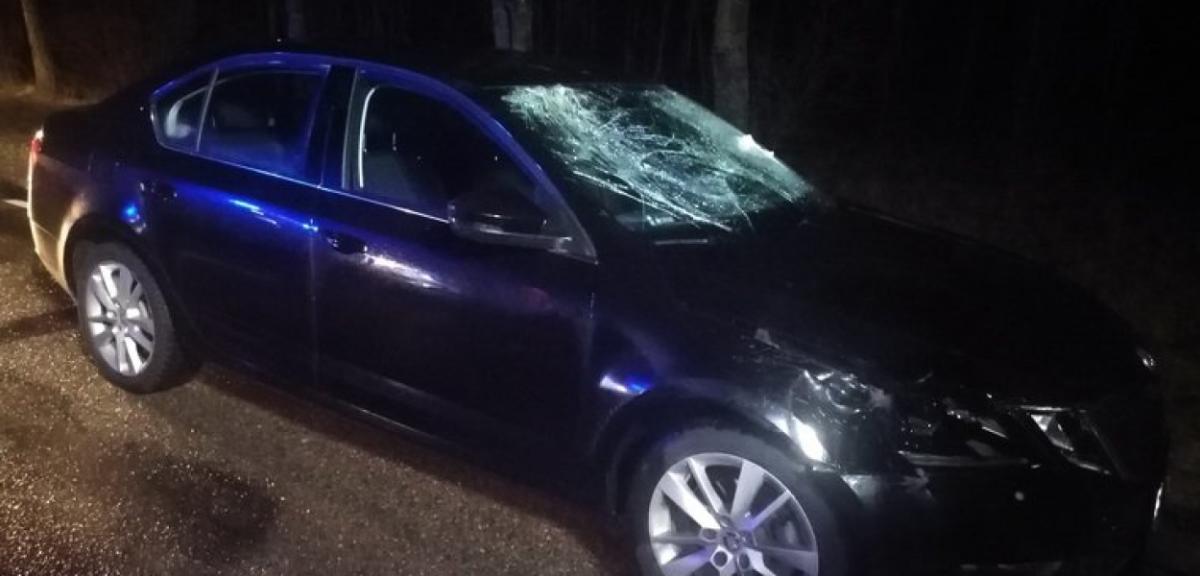 Zwierzę na drodze przyczyną wypadku na trasie Pisz-Kolno